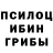 Галлюциногенные грибы прущие грибы ZombieRabbit