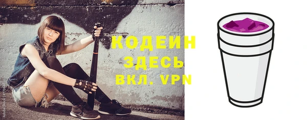 индика Беломорск