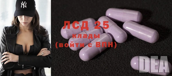 индика Беломорск