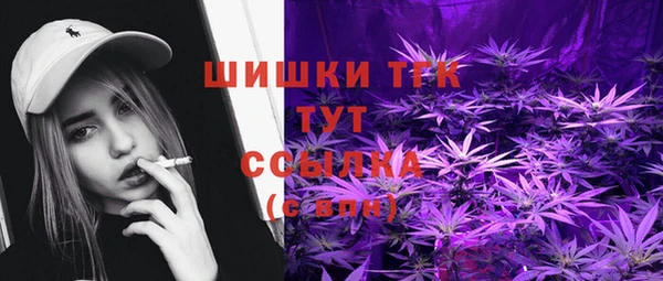PSILOCYBIN Гусиноозёрск