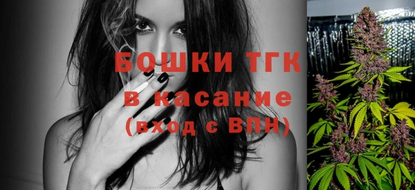индика Беломорск