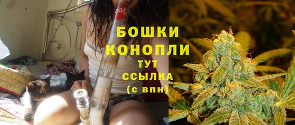 мяу мяу мука Белокуриха