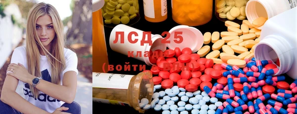 индика Беломорск