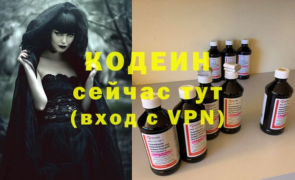 индика Беломорск