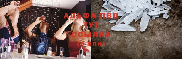 мяу мяу мука Белокуриха