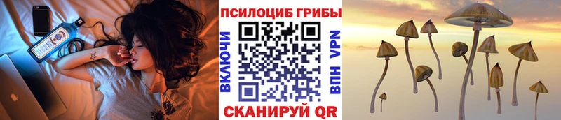 Псилоцибиновые грибы Psilocybine cubensis  где купить   Вельск 