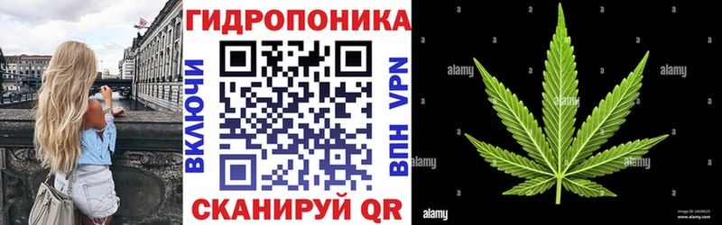 Каннабис Bruce Banner  Вельск 